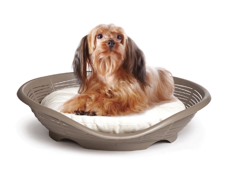 BED PASHA WITH CUSHION Bama Pet BamaGroup